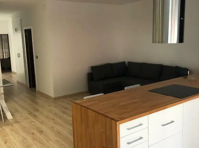 Atic Mercat Appartement *